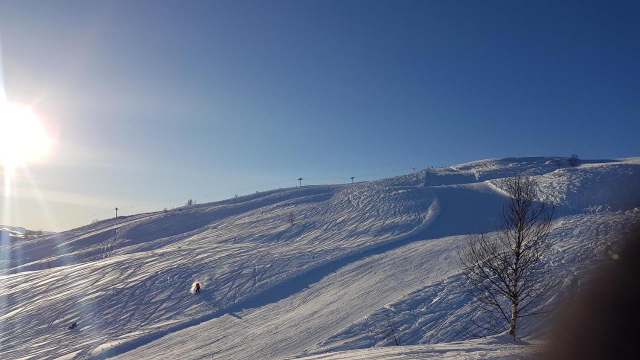 Timblalodgen Sogndal Dış mekan fotoğraf