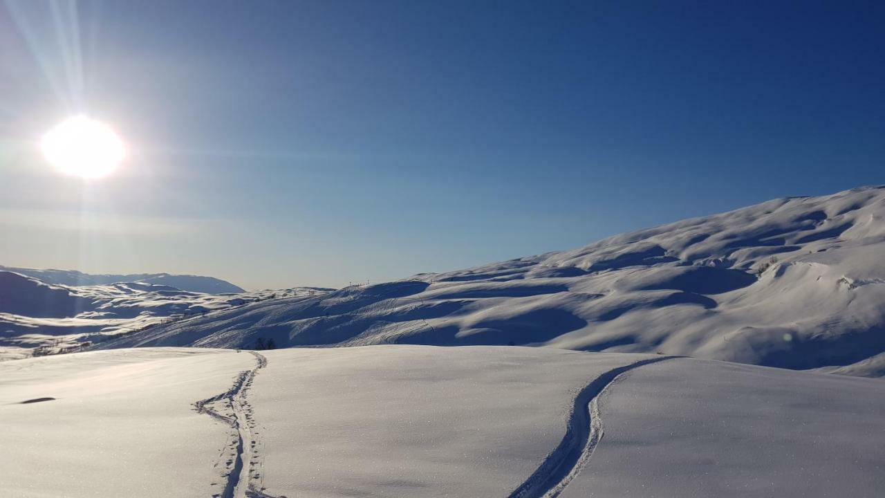 Timblalodgen Sogndal Dış mekan fotoğraf